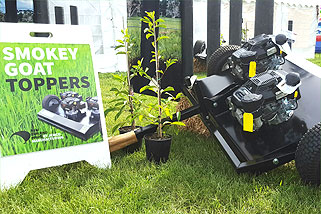 Smokey Goat topping mowers